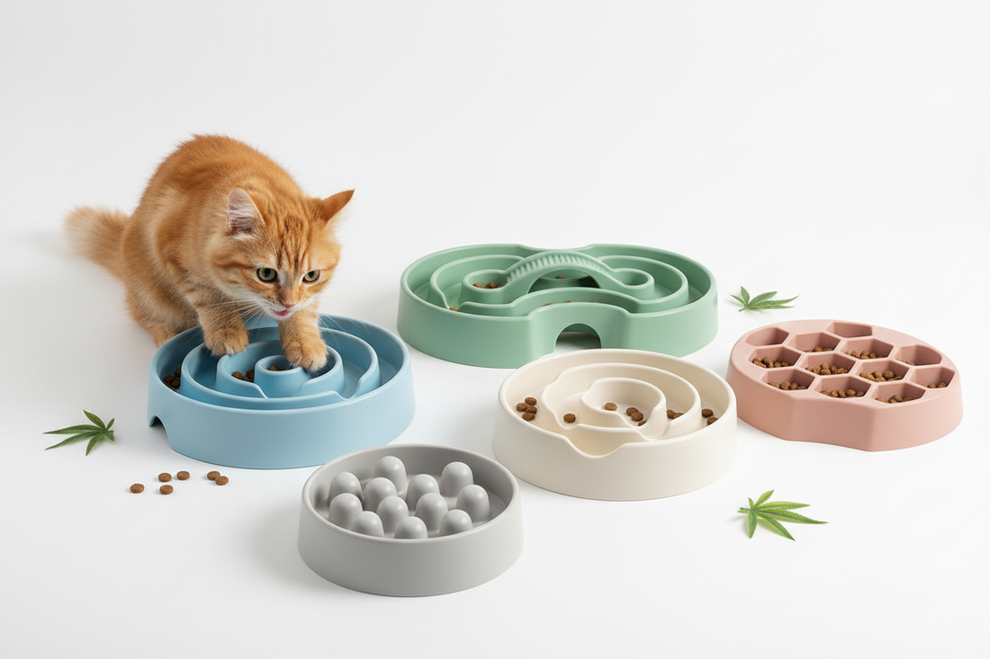 Best Slow Feed Cat Bowls
