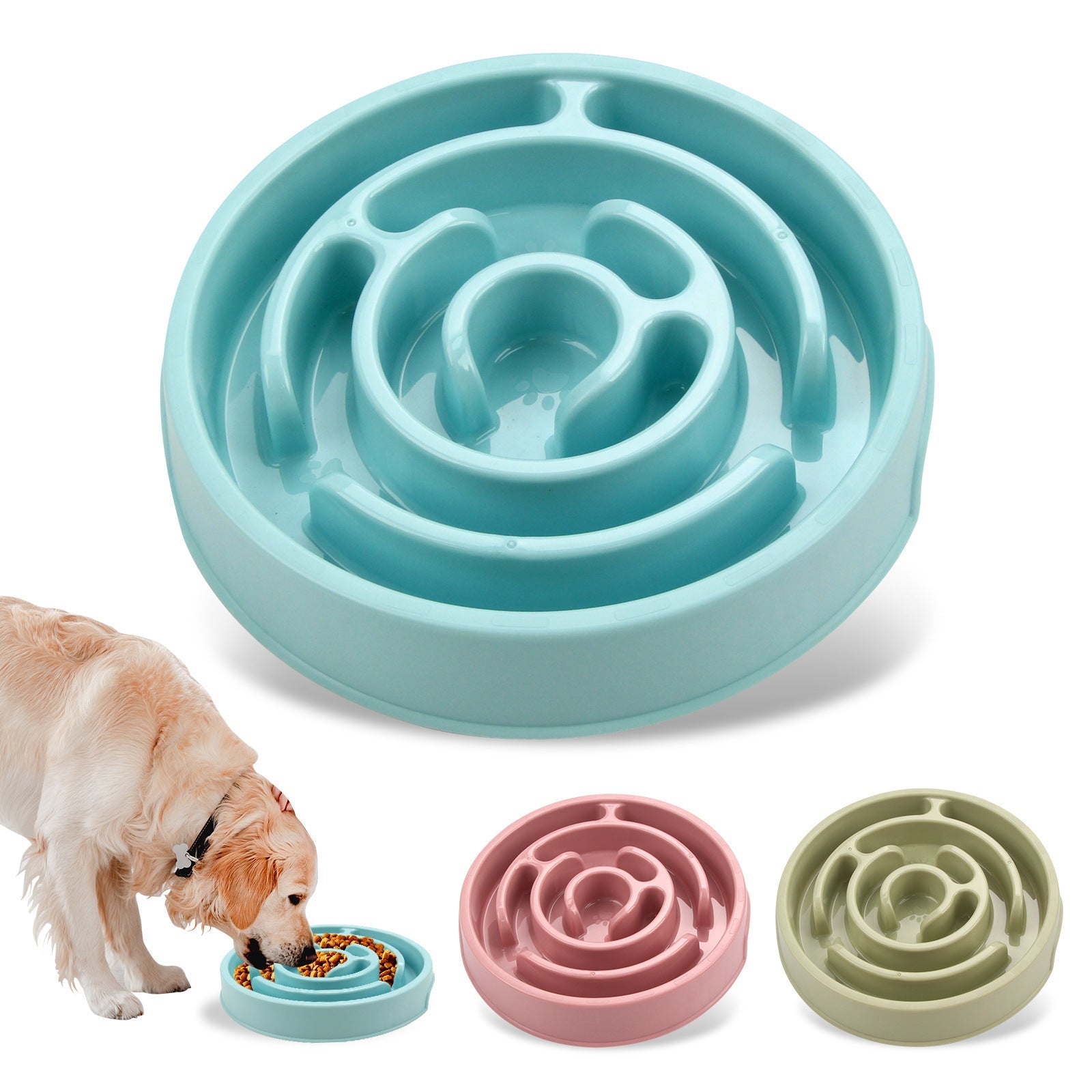 Why Your Dog Needs a Slow Feeder Bowl & Best Options