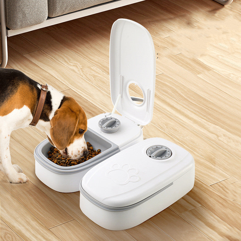 How Automatic Pet Feeders Help Busy Pet Owners Save Time