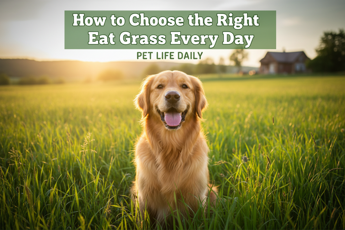How to Choose the Right Eat Grass Every Day
