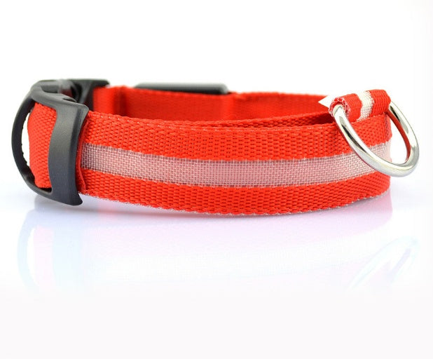 Red dog collar with reflective strip on a white background