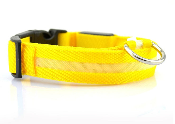 LuckyGlow Dog Collar