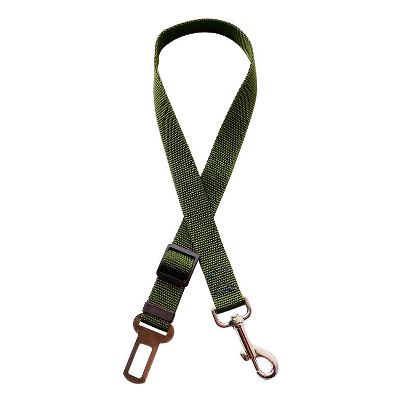 Green dog leash with metal clip on a white backgroundx