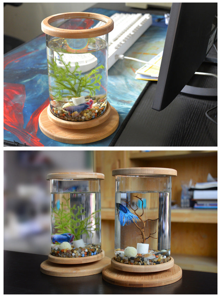 Small glass aquarium with wooden base on a desk