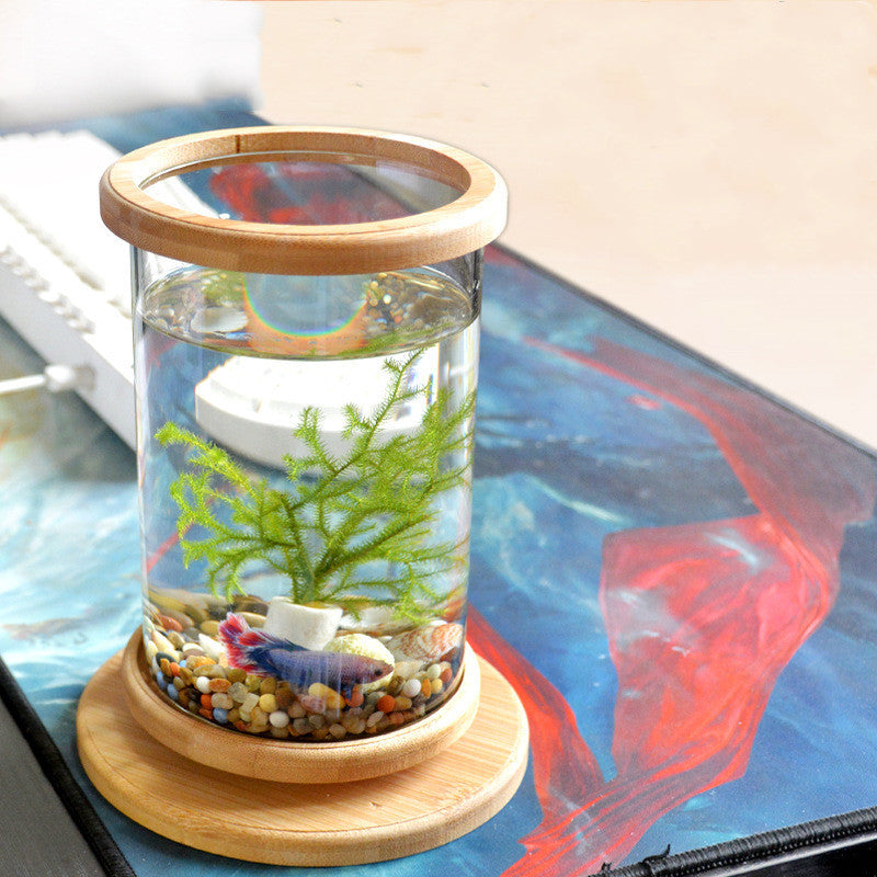 Small glass aquarium with plants and fish on a wooden base, placed on a colorful surface.