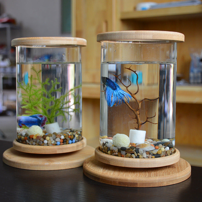 Two small glass aquariums with wooden lids and bases on a dark surface.