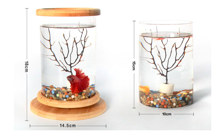 Two glass containers with decorative elements and measurements on a white background