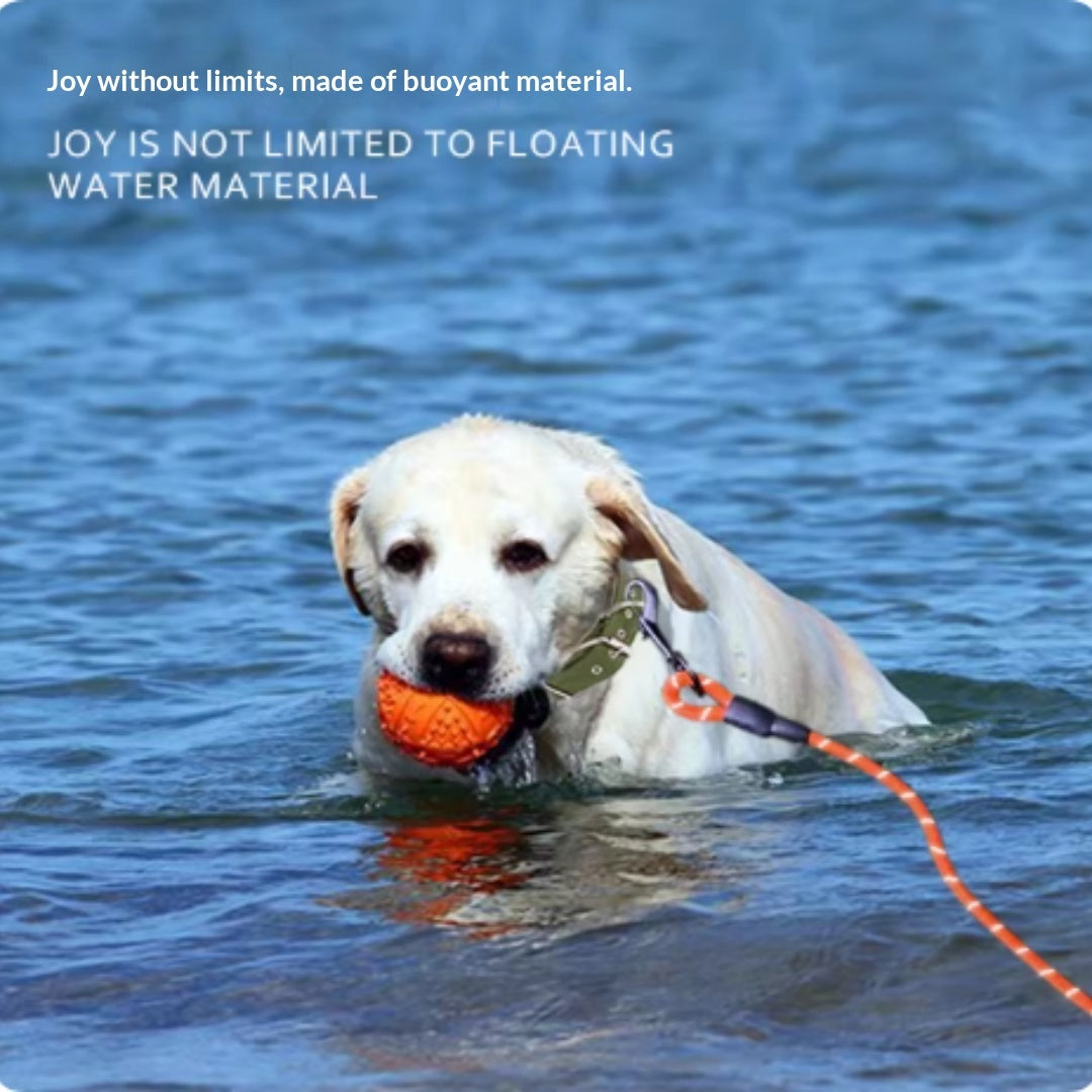 Dog playing with an orange ball in water, with text about buoyant material and freedom.