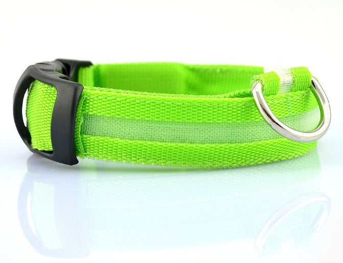 Green dog collar with a silver D-ring and black buckle on a white background