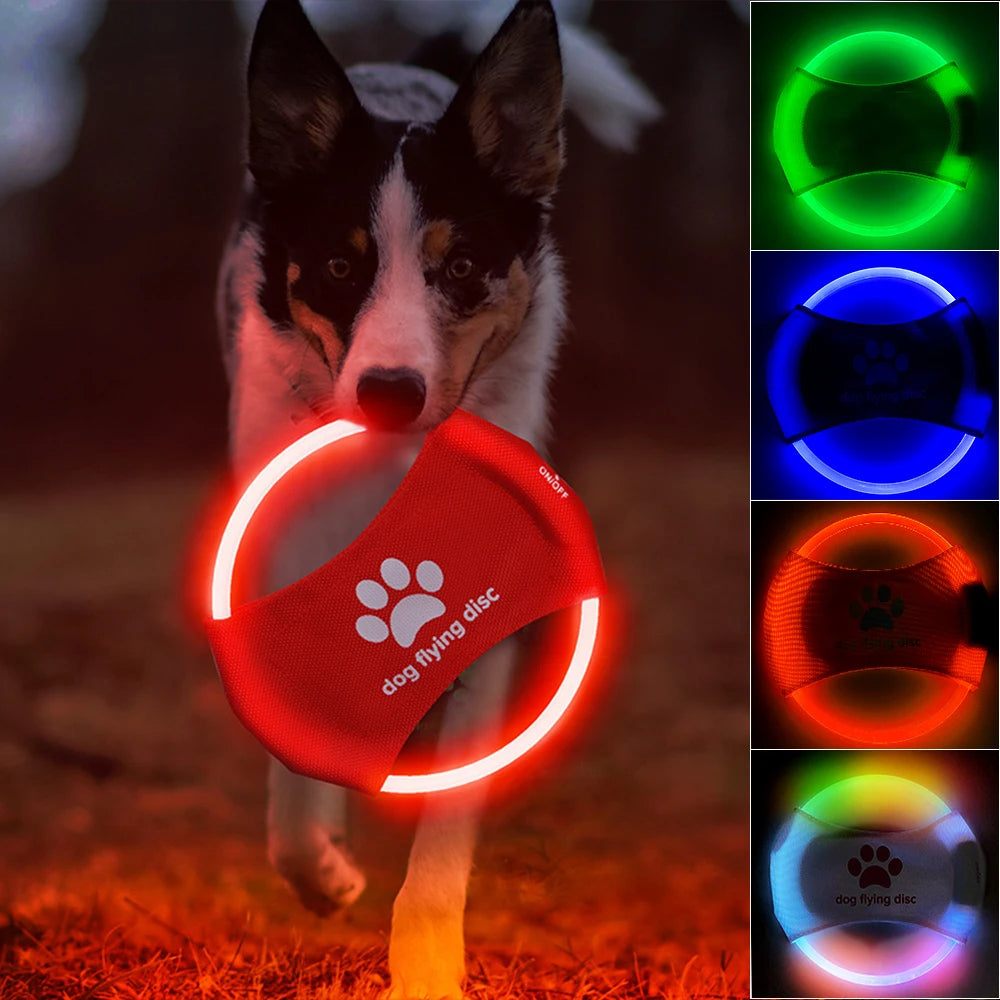 Dog playing with a glowing red disc toy at night, with color options displayed