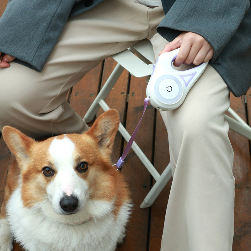 Person holding a led dog leash next to a corgi on a wooden floor.