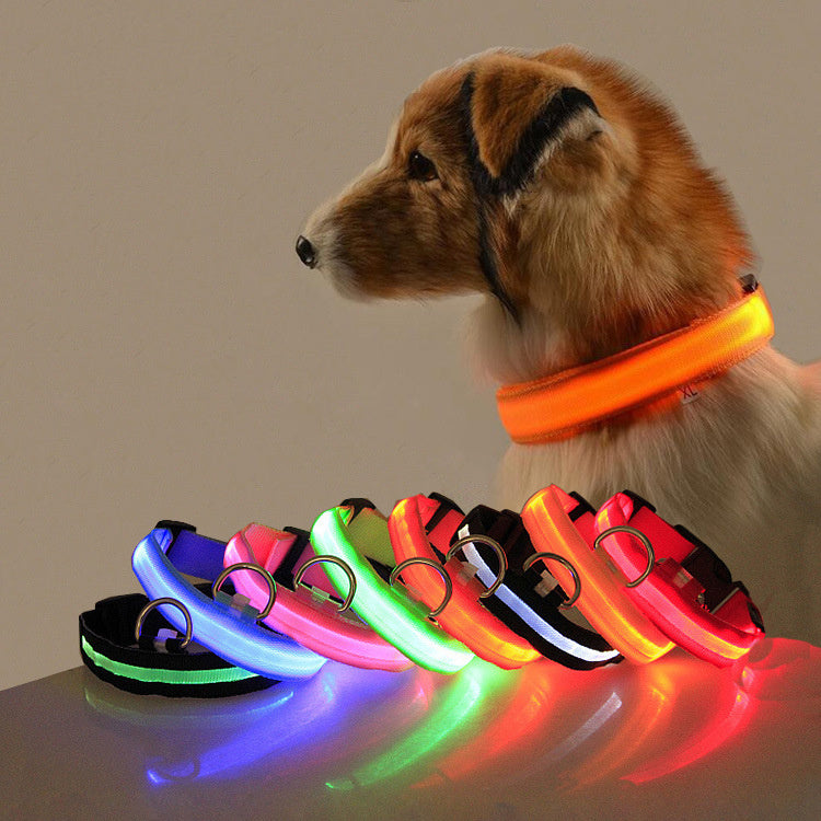 LuckyGlow Dog Collar