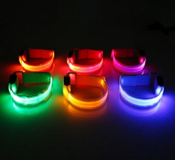 LuckyGlow Dog Collar