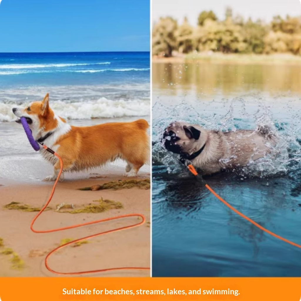 Two dogs on leashes at a beach and in water with text 'Suitable for beaches, streams, lakes, and swimming'.