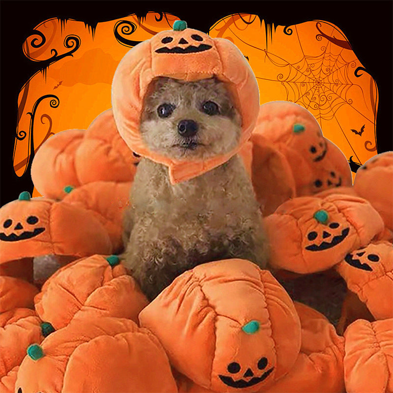 Dog wearing a pumpkin costume surrounded by pumpkins with a Halloween-themed background