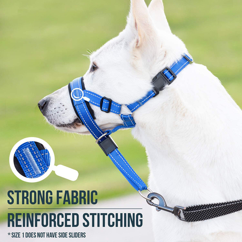 Dog wearing a blue muzzle with text highlighting strong fabric and reinforced stitching
